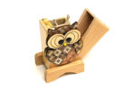 Toothpick Owl - Image 2