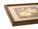 Zougan White camellia - Image 3